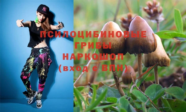 гидропоника Михайловск