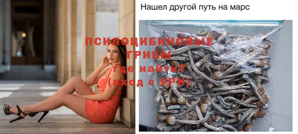 гидропоника Михайловск