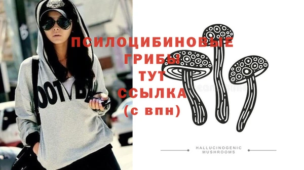 гидропоника Михайловск