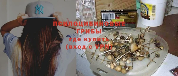 гидропоника Михайловск