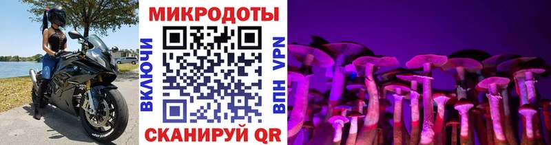 мега tor купить цена маркетплейс телеграм Псилоцибиновые грибы ЛСД Оренбург