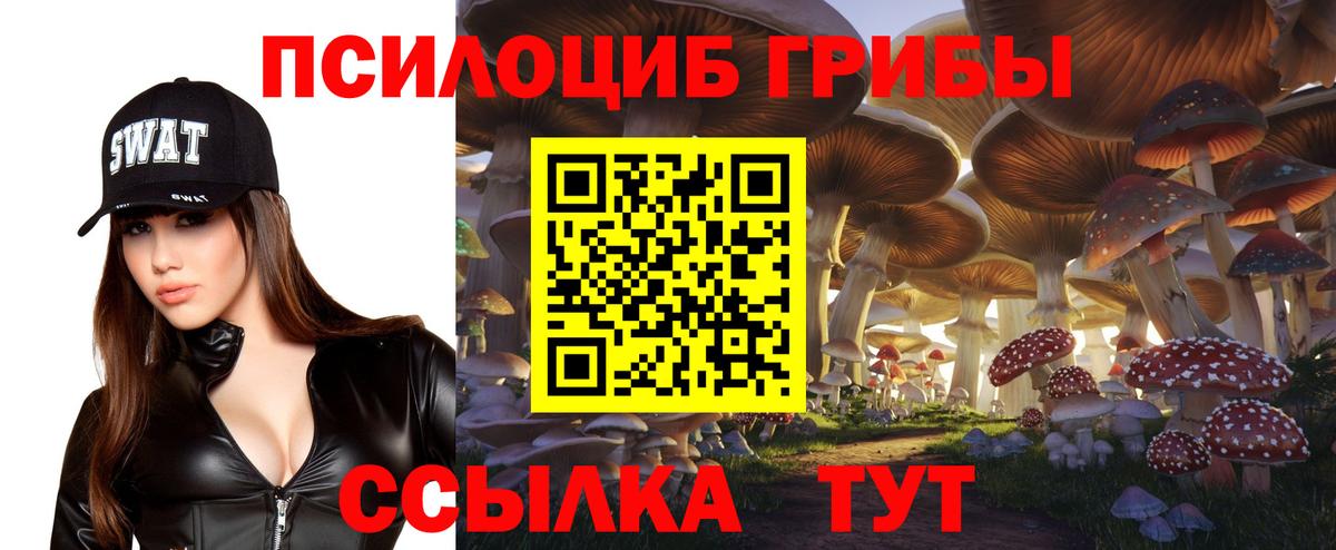 Псилоцибиновые грибы Psilocybine cubensis  Галлюциногенные грибы MAGIC MUSHROOMS  Вход с VPN  Оренбург 