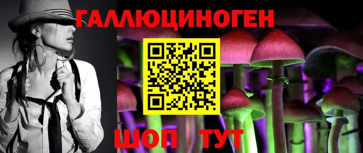 Псилоцибиновые грибы Psilocybine cubensis Оренбург